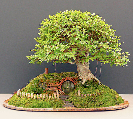 Lord of the Rings Bonsai Tree