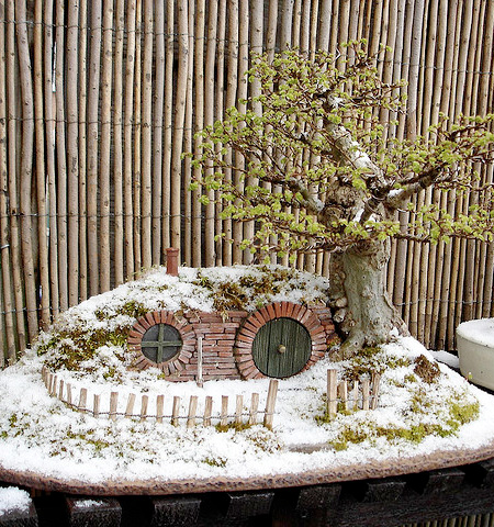 Hobbit Bonsai Trayscape