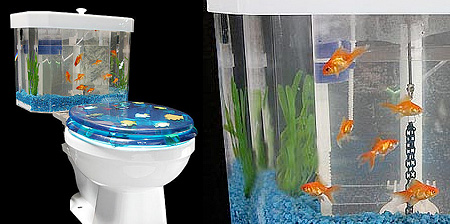 Toilet Aquarium