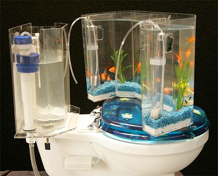 Toilet Tank Aquarium