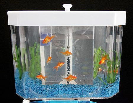 Fish n Flush Toilet Aquarium