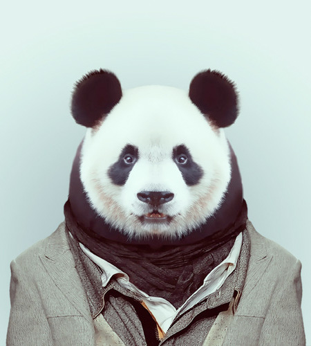 Animals in Human Clothing