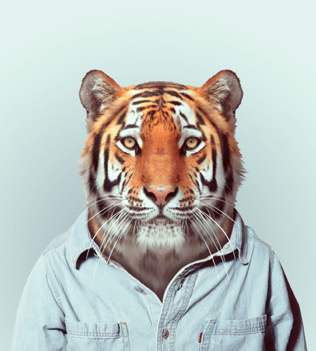 Zoo Portraits by Yago Partal
