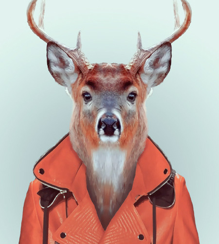 Animal Fashion Portraits