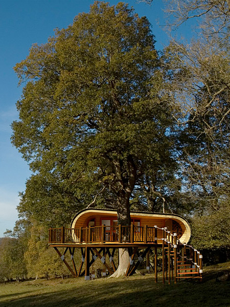 Luxury TreeHouse