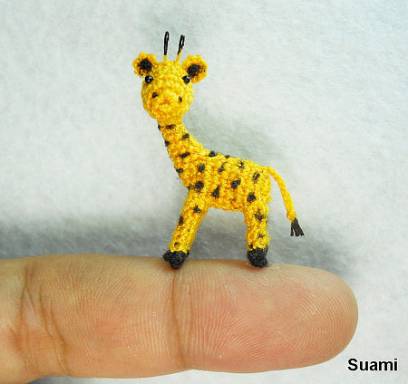 Miniature Giraffe