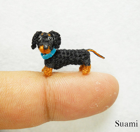 Miniature Dog