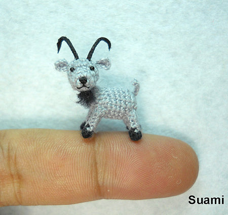 Miniature Goat