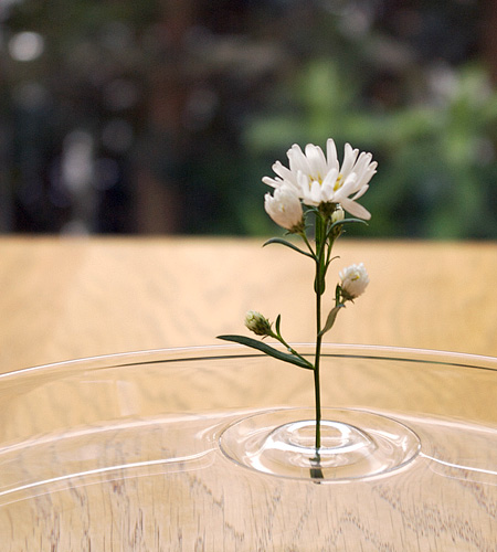 Ripple Vase