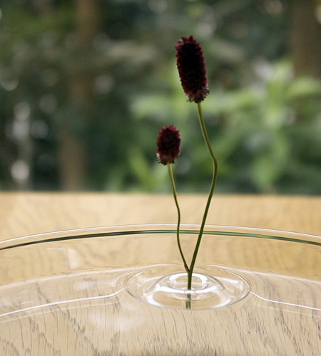 Ripple Vases