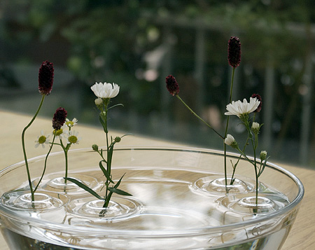 Floating Ripple Vases