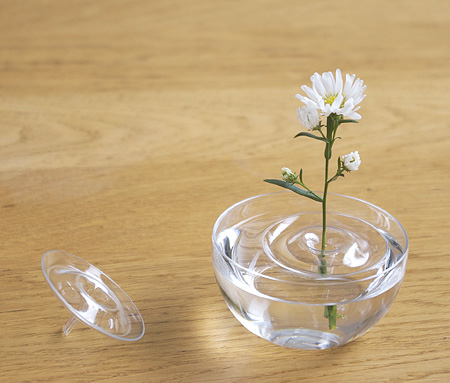 Invisible Vase