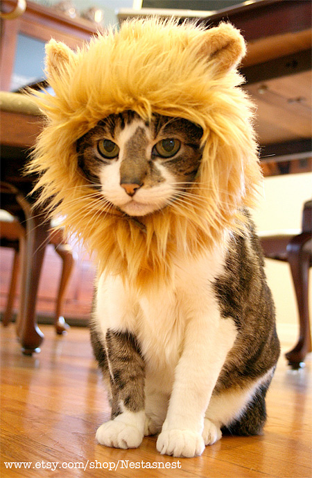 Lion Hat