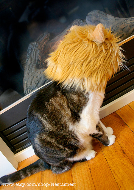 Cat in Lion Hat