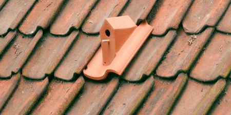 Birdhouse for your Roof