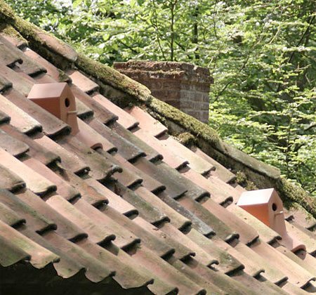 Birdhouse Rooftile by Klaas Kuiken