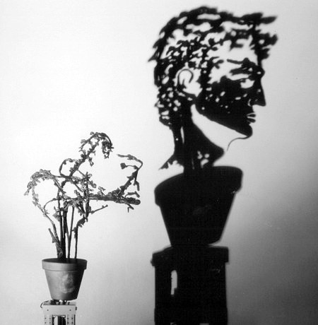 Shadow Sculptures