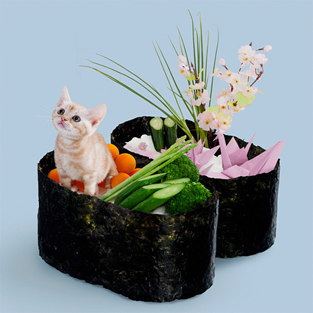 Japanese Sushi Cats