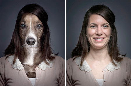 Underdogs by Sebastian Magnani