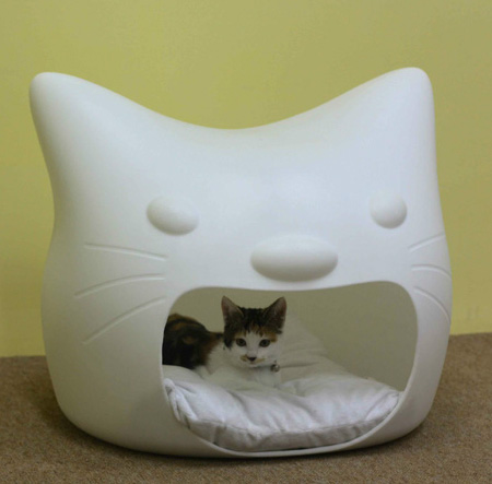 Cat Beds