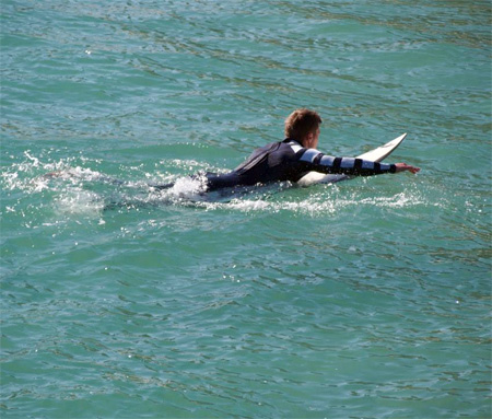 Shark Wetsuit