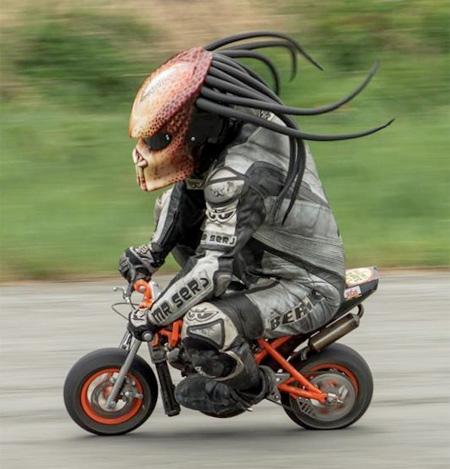 Predator Bicycle Helmet