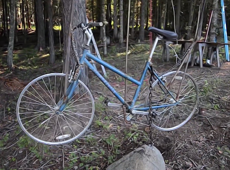 Pedal Powered TreeHouse Elevator