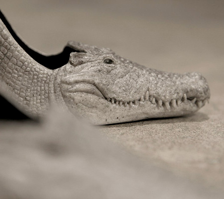 Crocodile Shoes