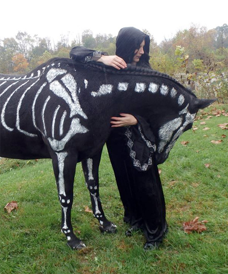 Halloween Skeleton Horse