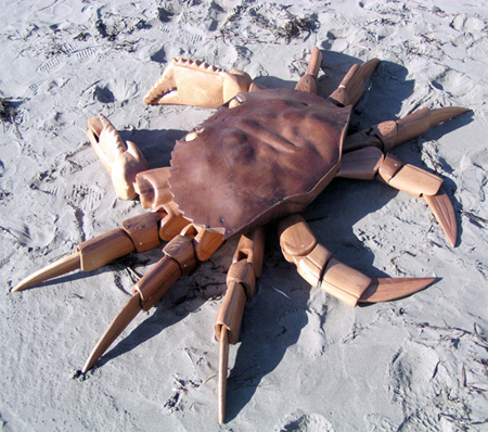 Driftwood Crab