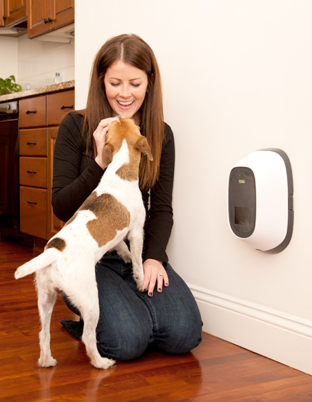 Video Phone for Dogs