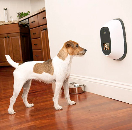 Video Phone for Pets