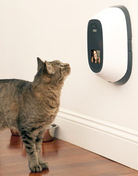 Video Phone for Cats
