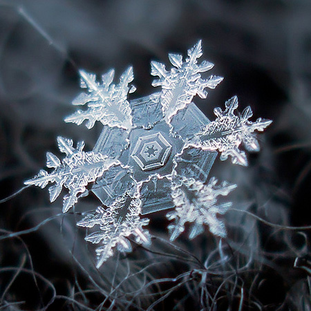 Snowflake Photography