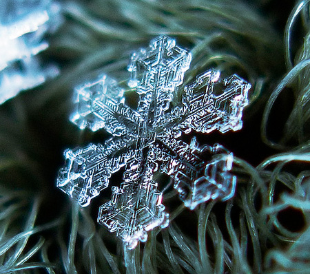 Photos of Snowflakes