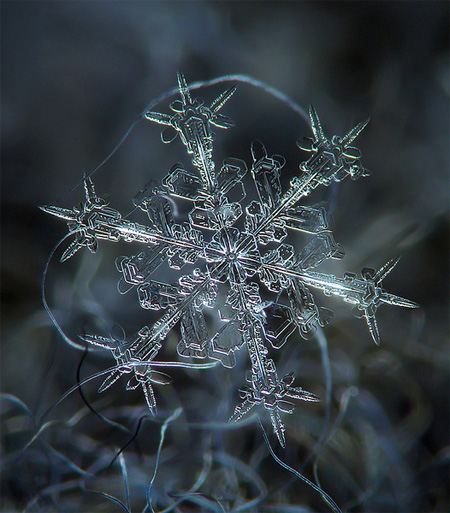 Snowflakes Photography