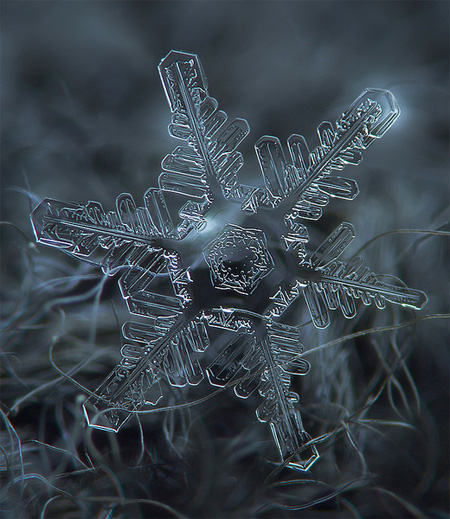 Snowflakes Macro Photography