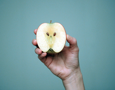 Apple Owl