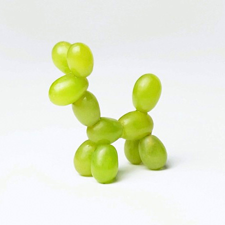 Grape Dog