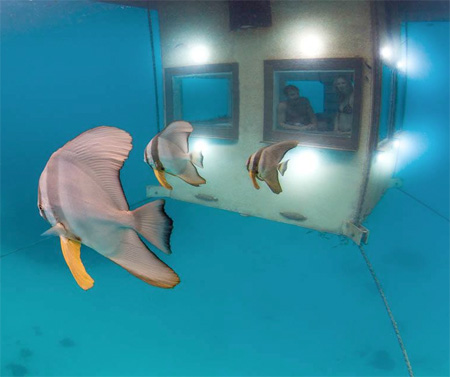 The Manta Underwater Room