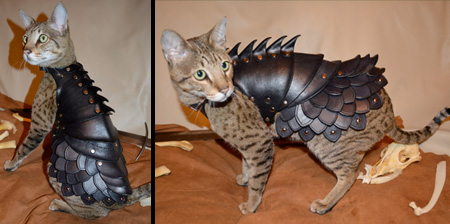 Cat Battle Armor