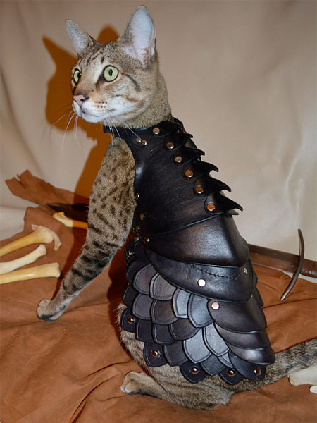 Cat Battle Armour