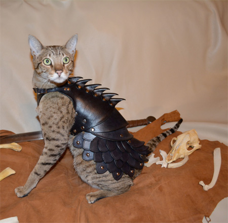 Cat Leather Armor