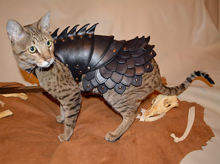 Cat Armour