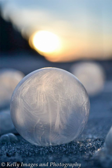 Frozen Bubbles Photography