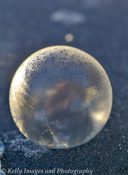 Bubbles Photography