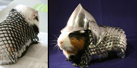 Guinea Pig Armor