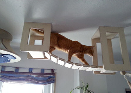 3D Cat Furniture