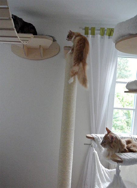 Modular Cat Furniture