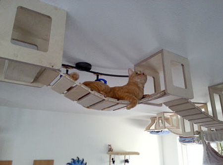 Furniture for Cats